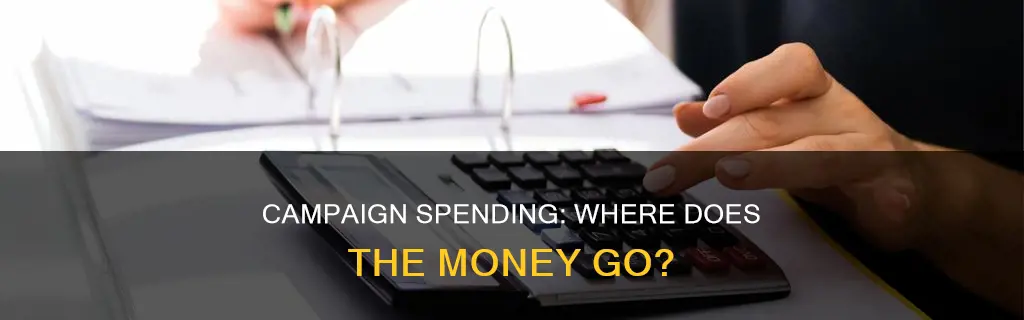 what is political campaign money spent on