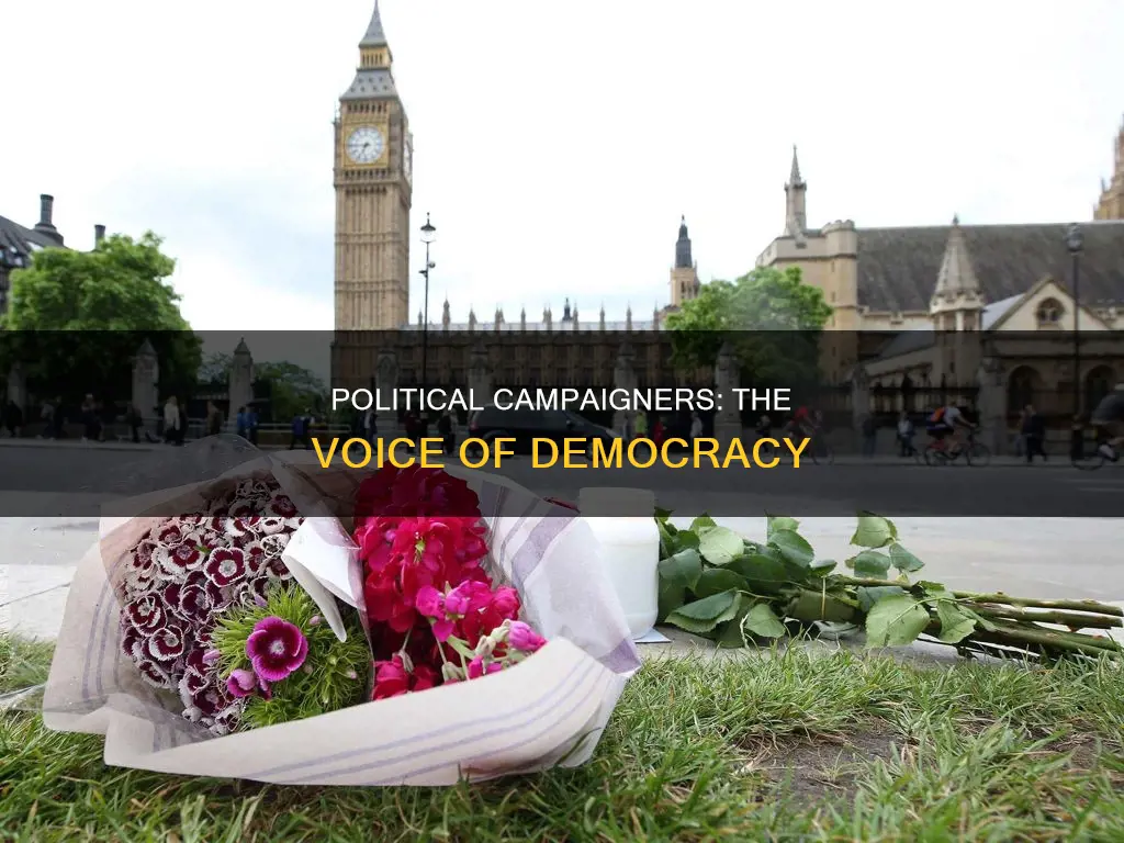 what is political campaigner