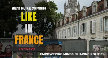 Campaigning in France: Unique Strategies and Cultural Sensitivities