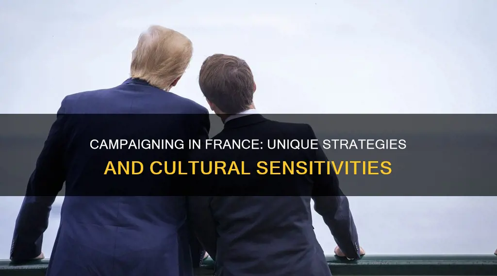 what is political campaigning like in france