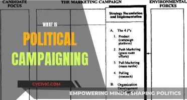 Campaign Trail: Political Strategies for Victory