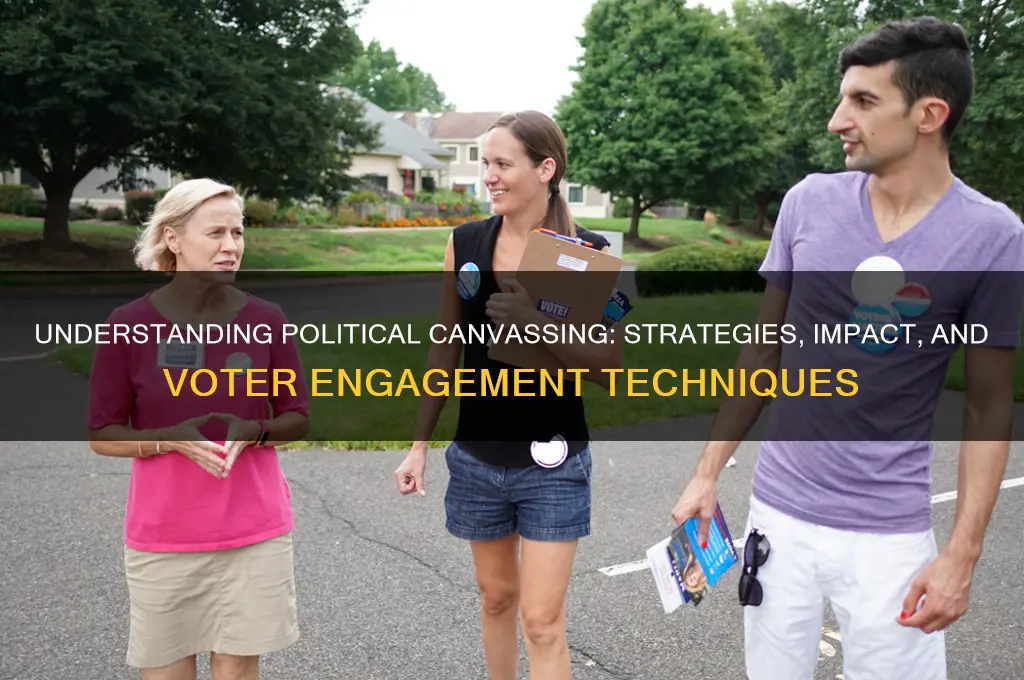 what is political canvasing