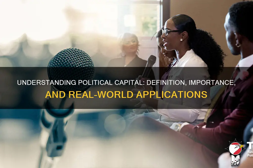 what is political capital definition