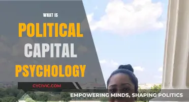 Understanding Political Capital Psychology: Power, Influence, and Decision-Making Dynamics