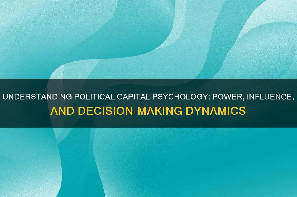 what is political capital psychology