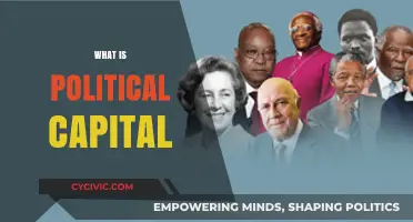 Understanding Political Capital: Power, Influence, and Strategic Resource in Politics