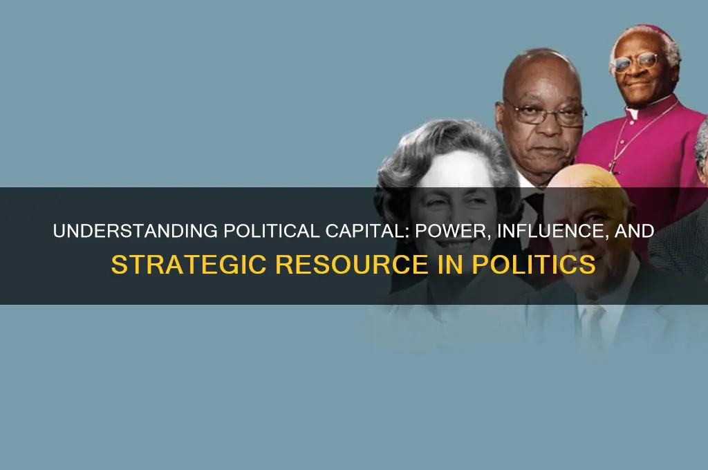 what is political capital