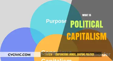 Understanding Political Capitalism: Power, Economy, and State Influence Explained
