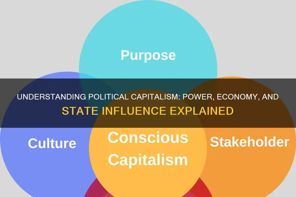 what is political capitalism