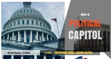 Understanding Political Capitol: Power, Influence, and Strategic Leverage Explained
