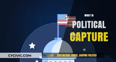 Understanding Political Capture: How Special Interests Influence Government Decisions