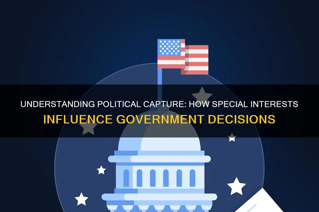 what is political capture