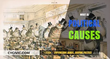 Understanding Political Causes: Origins, Impact, and Societal Influence Explained