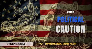 Understanding Political Caution: Strategies, Implications, and Real-World Applications