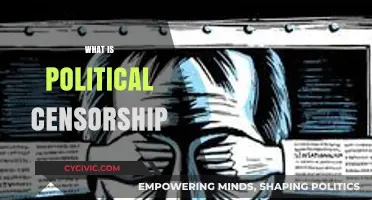 Understanding Political Censorship: Control, Suppression, and Free Speech Limits