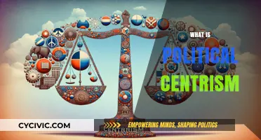 Understanding Political Centrism: Balancing Ideologies in Modern Governance