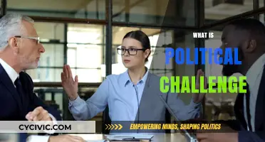Understanding Political Challenges: Complexities, Impacts, and Strategies for Resolution