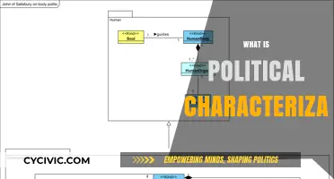 Understanding Political Characterization: A Comprehensive Guide to Its Role and Impact