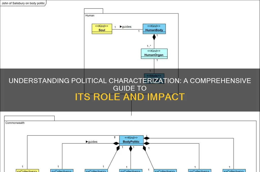 what is political characterization