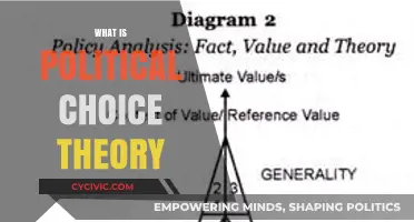 Understanding Political Choice Theory: Key Concepts and Real-World Applications