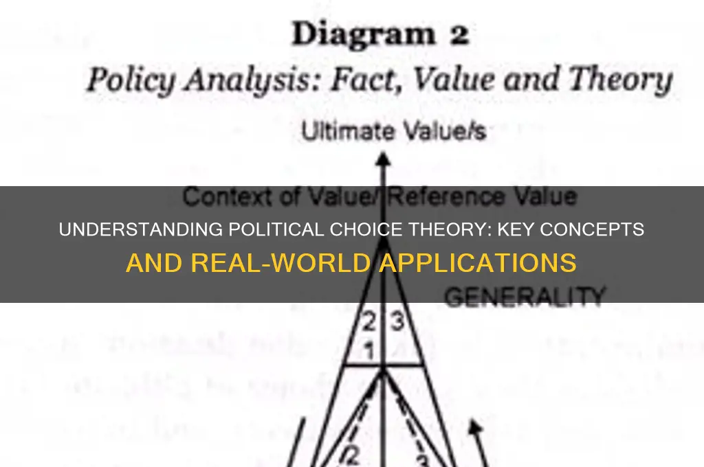 what is political choice theory