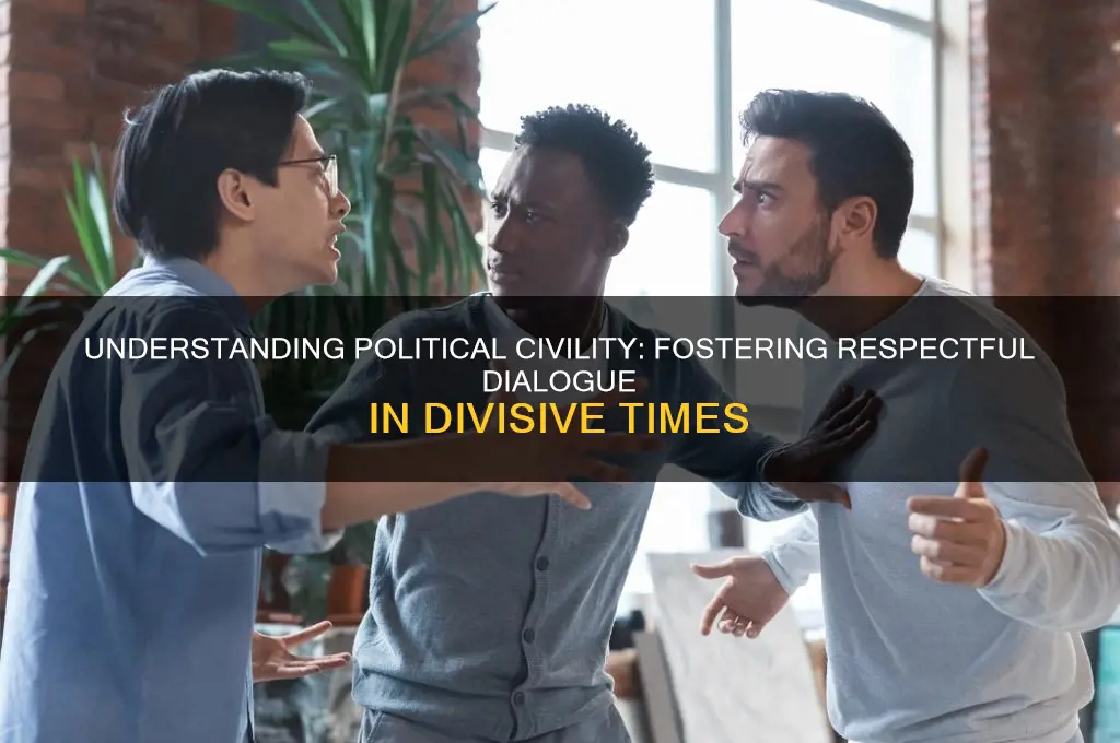 what is political civility