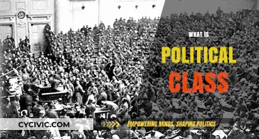 Understanding the Political Class: Power, Influence, and Societal Impact