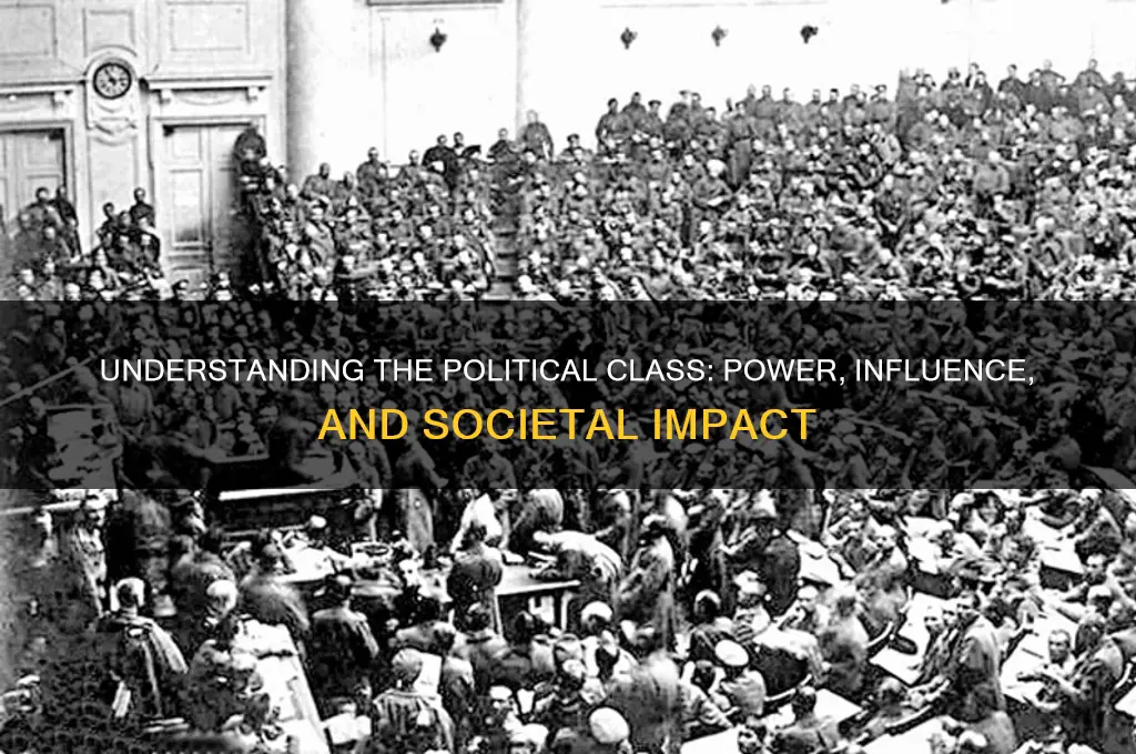 what is political class