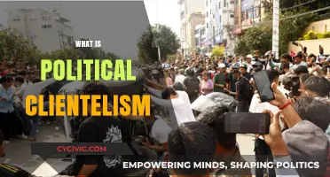 Understanding Political Clientelism: Mechanisms, Impact, and Global Implications