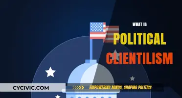 Understanding Political Clientelism: Networks, Exchanges, and Power Dynamics Explained