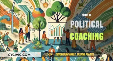 Understanding Political Coaching: Strategies for Effective Leadership and Influence