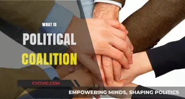 Understanding Political Coalitions: Formation, Function, and Impact on Governance