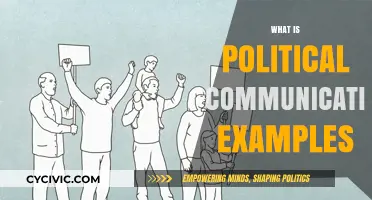 Understanding Political Communication: Real-World Examples and Key Strategies