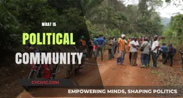 Understanding Political Community: Foundations, Dynamics, and Societal Impact Explained