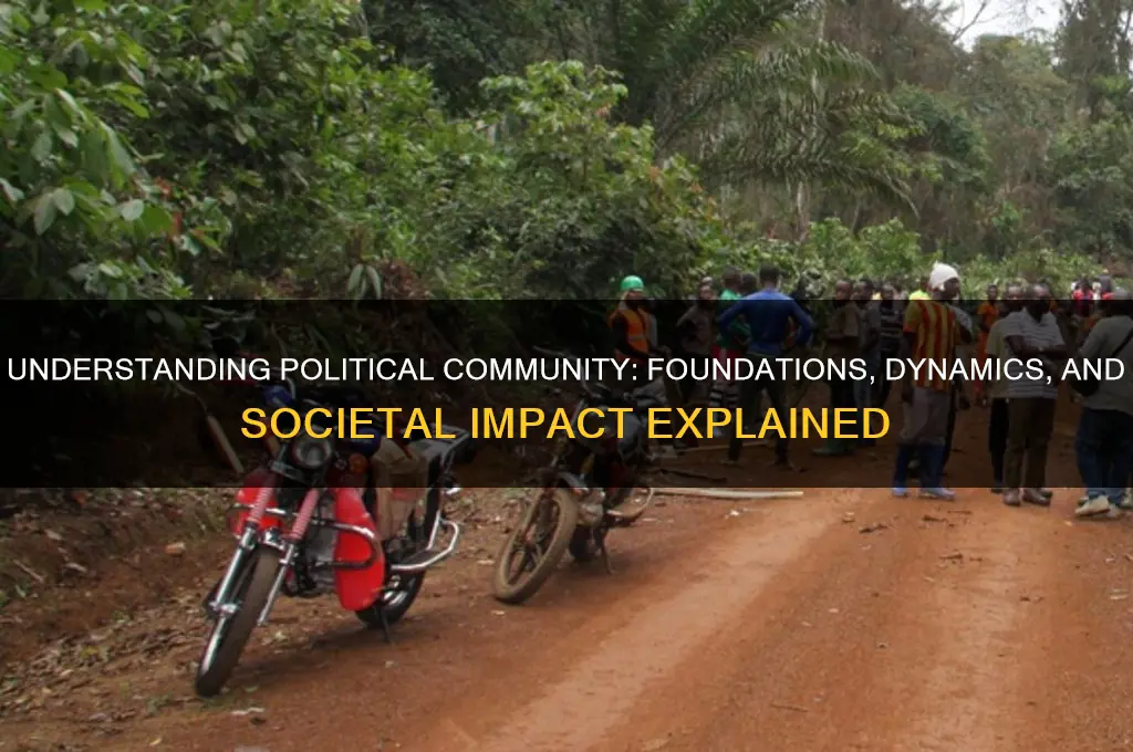 what is political community