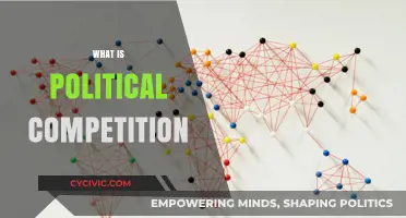 Understanding Political Competition: Dynamics, Impact, and Democratic Significance