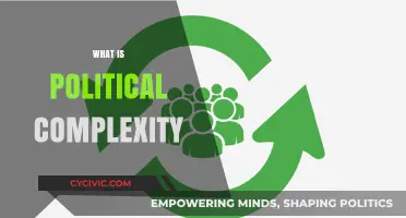 Understanding Political Complexity: Dynamics, Challenges, and Global Implications