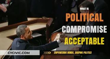 When is Political Compromise Acceptable: Balancing Ideals and Practicality