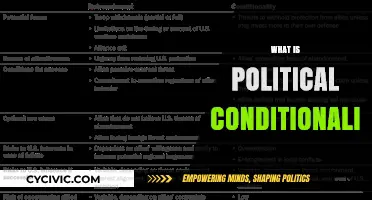 Understanding Political Conditionality: Impacts, Implications, and Global Applications