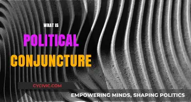 Understanding Political Conjuncture: Dynamics, Influence, and Global Implications Explained