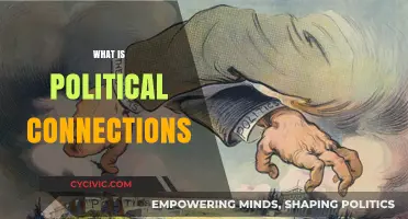 Understanding Political Connections: Power, Influence, and Networking Dynamics