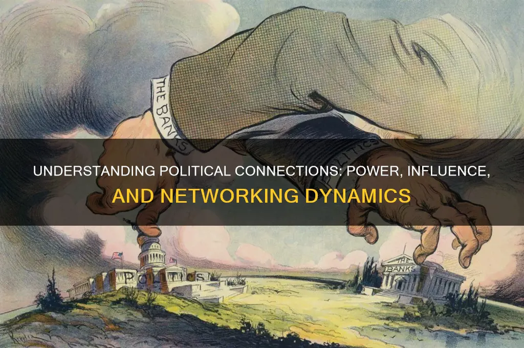 what is political connections