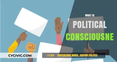 Understanding Political Consciousness: Awareness, Engagement, and Social Transformation Explained
