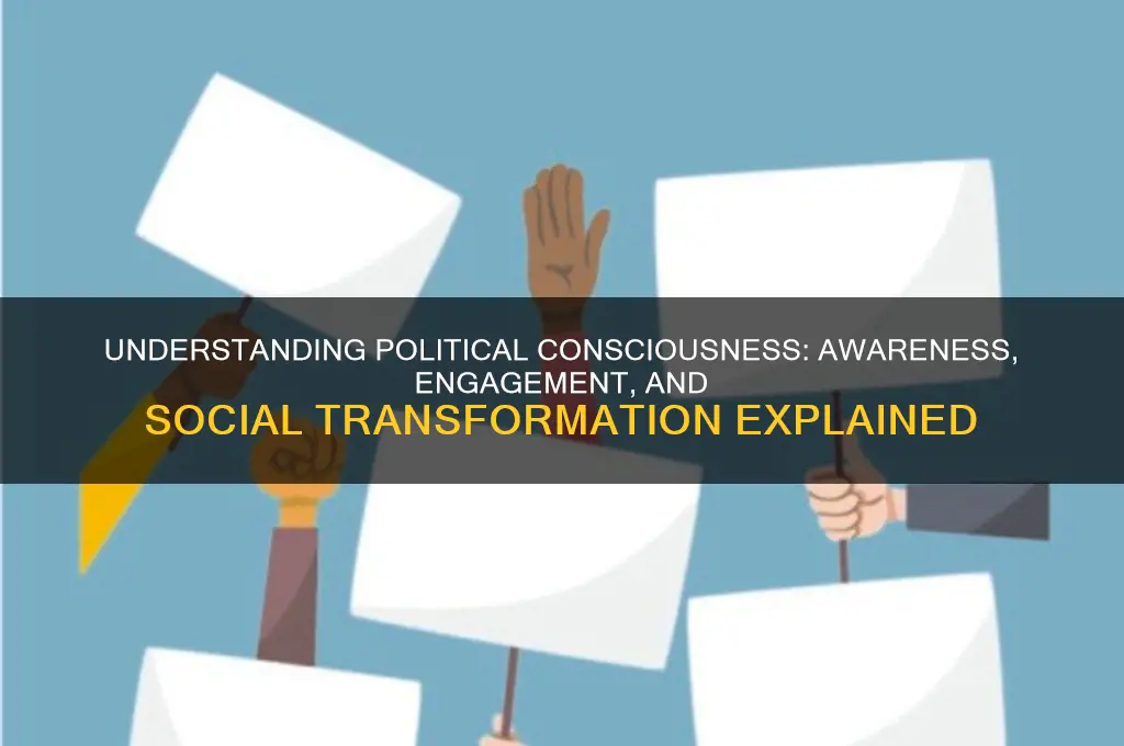 what is political consciousness