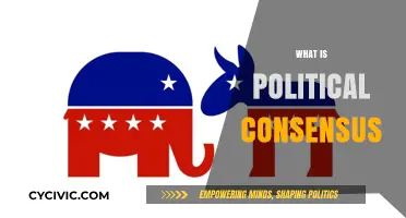 Understanding Political Consensus: Uniting Diverse Views for Effective Governance