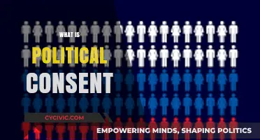 Understanding Political Consent: Foundations, Mechanisms, and Modern Implications