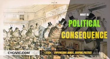 Understanding Political Consequences: Impacts, Implications, and Societal Shifts
