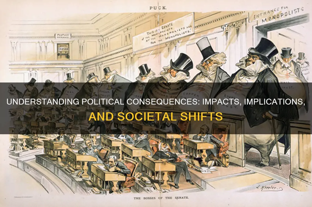 what is political consequences