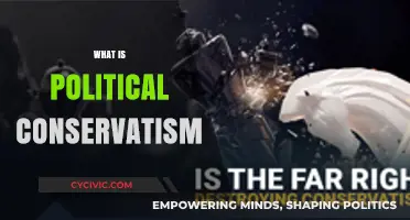 Understanding Political Conservatism: Core Principles and Modern Implications