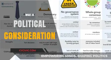 Understanding Political Consideration: Key Factors Shaping Decision-Making Processes